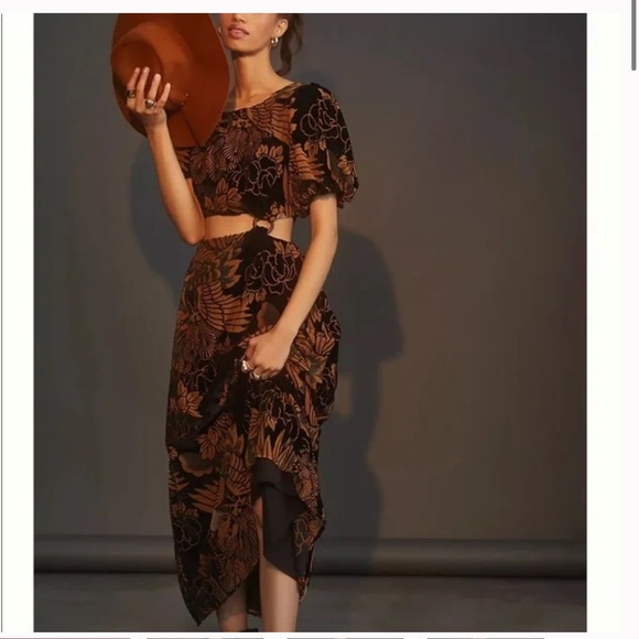 Anthropologie Dresses & Skirts - Anthropologie Let Me Burn Out Velvet Maxi Dress